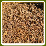 Cotton Seed Meal